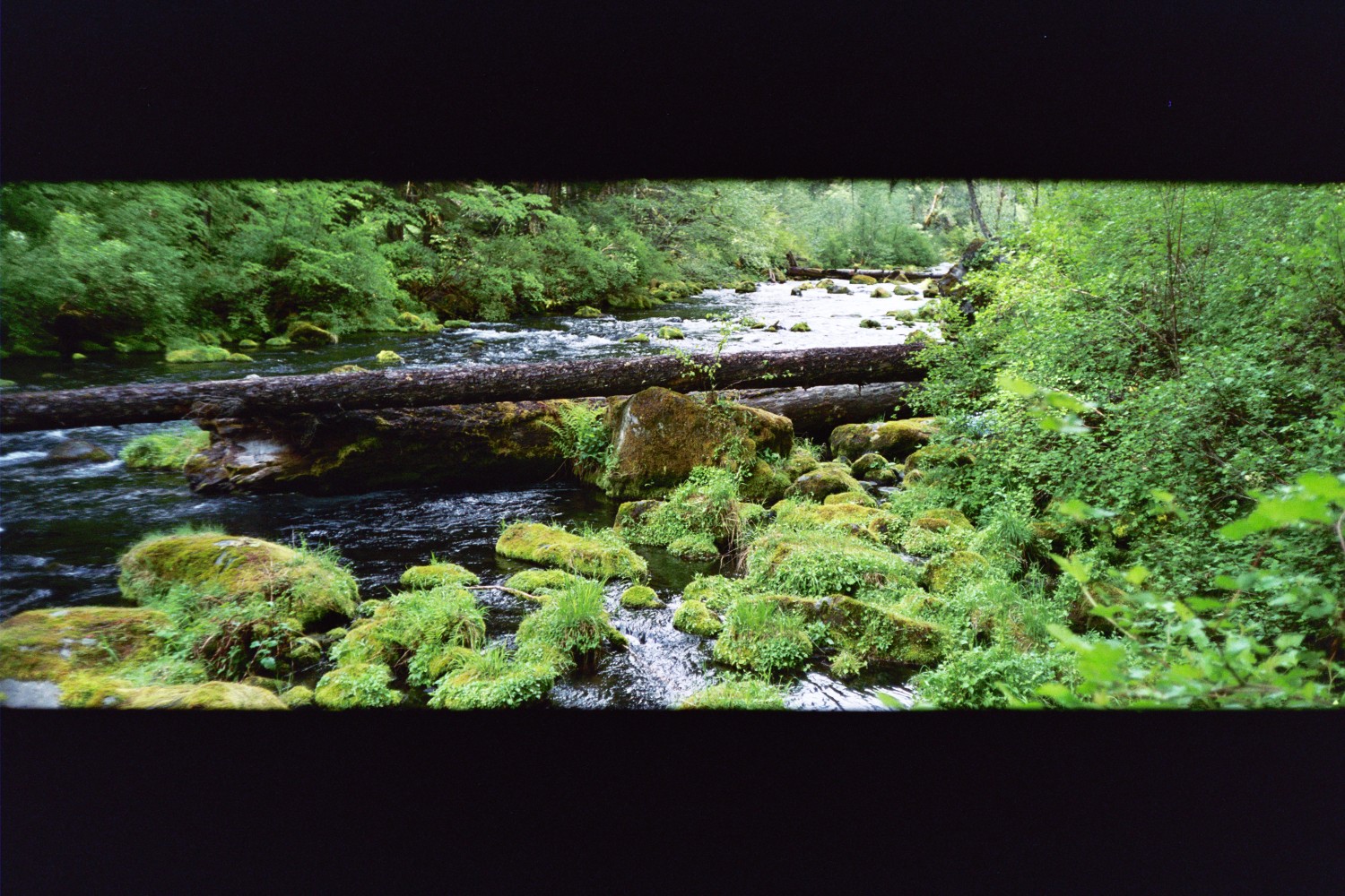 A tranquil river (photo: R Peek)